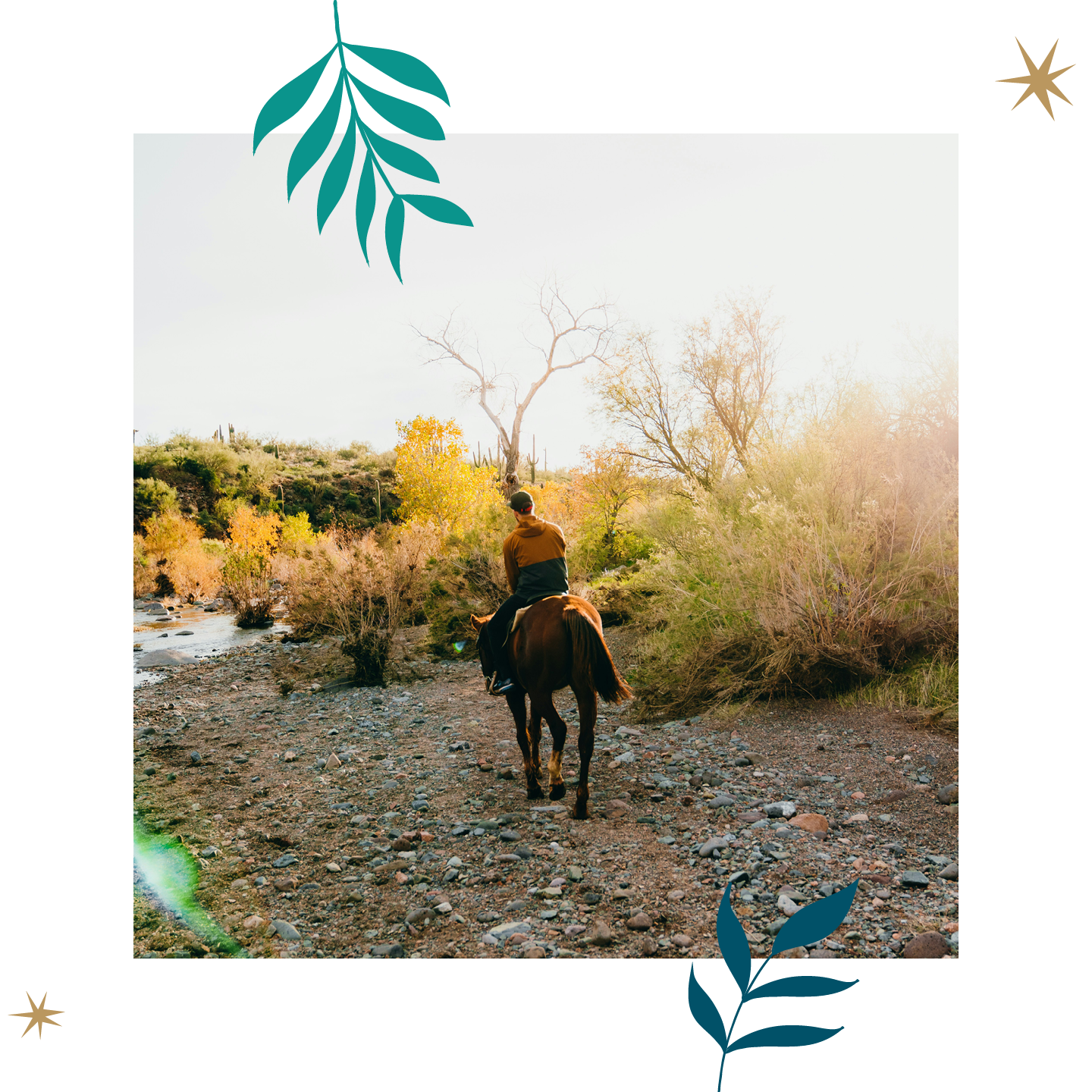 24-MMT-0535-Website104